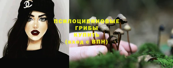 гидропоника Пестово