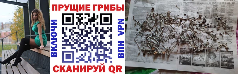 Галлюциногенные грибы MAGIC MUSHROOMS даркнет сайт Нововоронеж