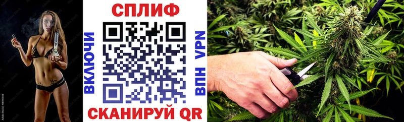 где продают   Нововоронеж  Бошки марихуана индика 